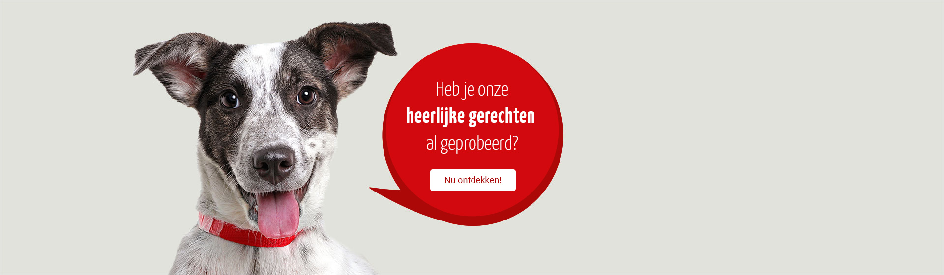 Haben Sie schon unsere leckeren Gerichte getestet? Jetzt entdecken!